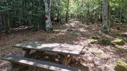 Trevezel_25_09-24