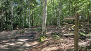 Trevezel_25_09-26