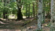 Trevezel_25_09-28