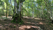 Trevezel_25_09-30