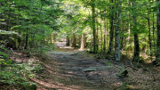Trevezel_25_09-33