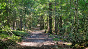 Trevezel_25_09-35
