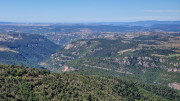 Trevezel_25_09-37