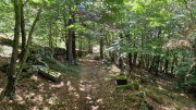 Trevezel_25_09-42
