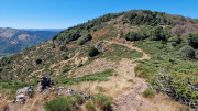 Trevezel_25_09-44