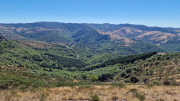 Trevezel_25_09-45