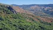 Trevezel_25_09-48