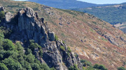 Trevezel_25_09-49