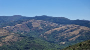 Trevezel_25_09-59