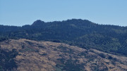 Trevezel_25_09-60