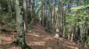 Trevezel_25_09-63