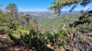 Trevezel_25_09-64