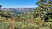 Trevezel_25_09-70