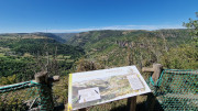 Trevezel_25_09-81