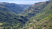 Trevezel_25_09-87