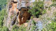 Trevezel_25_09-92