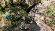 Trevezel_25_09-93