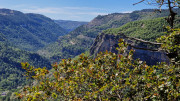 Trevezel_25_09-95