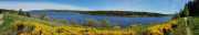 CHARPAL_2020_05-11