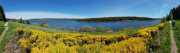CHARPAL_2020_05-12