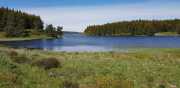 CHARPAL_2020_05-14