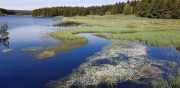 CHARPAL_2020_05-15