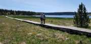 CHARPAL_2020_05-19