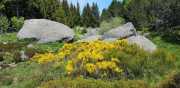 CHARPAL_2020_05-20