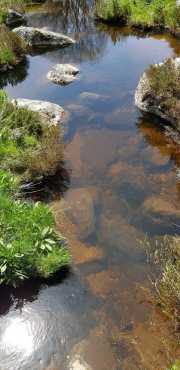 CHARPAL_2020_05-21