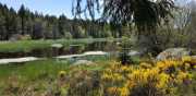 CHARPAL_2020_05-22