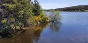 CHARPAL_2020_05-23