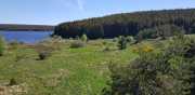CHARPAL_2020_05-5