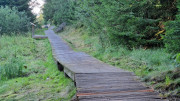 Charpal_24_08-12
