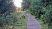 Charpal_24_08-14
