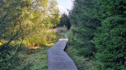 Charpal_24_08-16