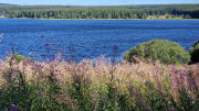 Charpal_24_08-17
