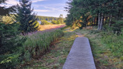 Charpal_24_08-18