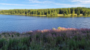 Charpal_24_08-22