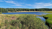 Charpal_24_08-26