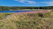 Charpal_24_08-28