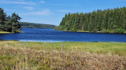 Charpal_24_08-29