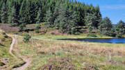 Charpal_24_08-30