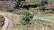 Charpal_24_08-31
