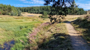 Charpal_24_08-33