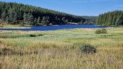 Charpal_24_08-35