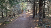 Charpal_24_08-36