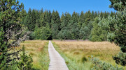 Charpal_24_08-43