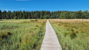 Charpal_24_08-44