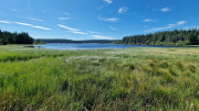 Charpal_24_08-45