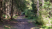 Charpal_24_08-47